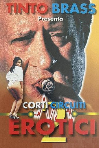 Erotic Short Circuits Vol.2 (1998) poster