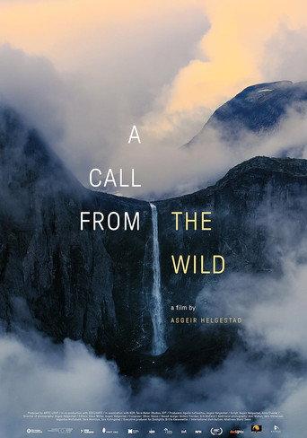 A Call from the Wild (2024) poster