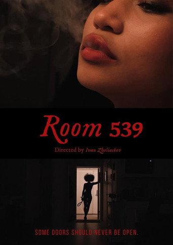 Room 539 (2026) poster