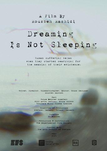 Dreaming Is Not Sleeping (2025) poster