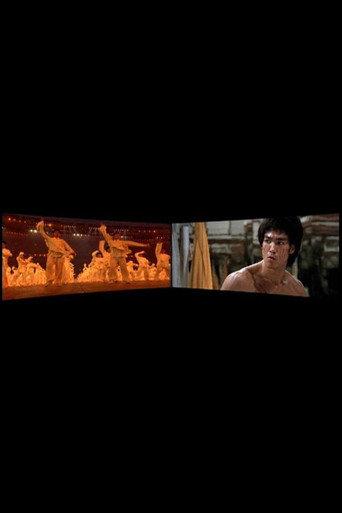 Enter the Dragon 1973-2008 (2010) poster