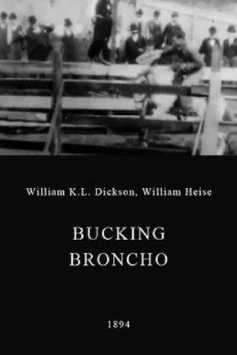 A Bucking Broncho (1898) poster