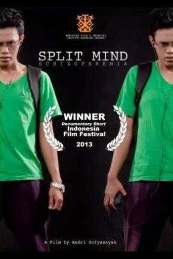 Split Mind (2013) poster