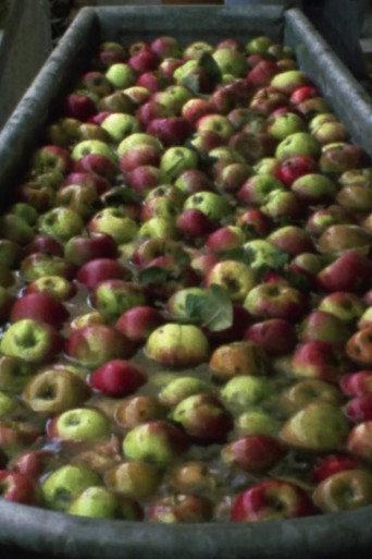 Making Apple Juice (1993) poster