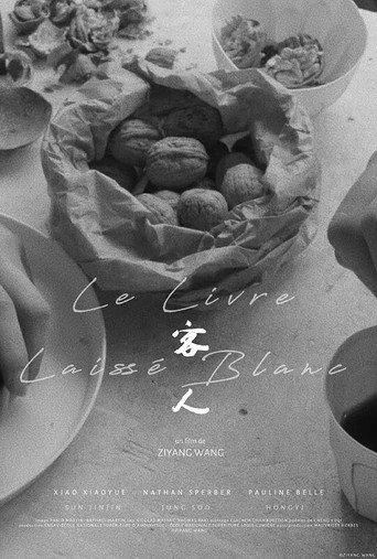 客人 () poster