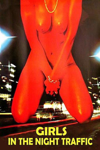 Girls in the Night Traffic (1976) poster