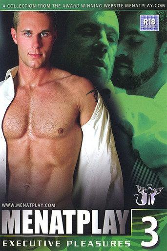 Executive Pleasures 3 (2008) poster