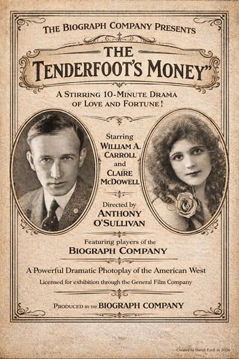 The Tenderfoot's Money (1913) poster