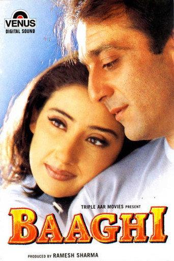 Baaghi (2000) poster
