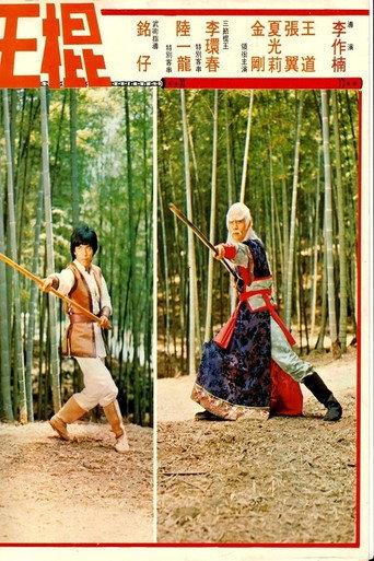 Shaolin Invincible Sticks (1978) poster