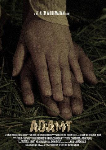 Adamt (2013) poster
