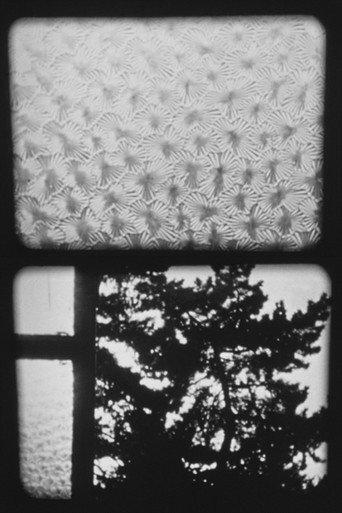 XVI/84 Fenster III (1984) poster