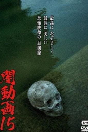Tokyo Videos of Horror 15 (2016) poster