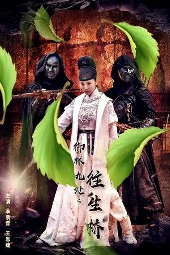 Royal Guards: Mysterious Bridge (2019) poster