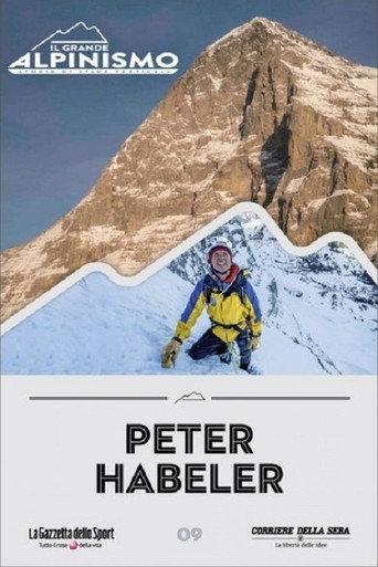Peter Habeler: ... ich will die Welt von oben sehen (2017) poster