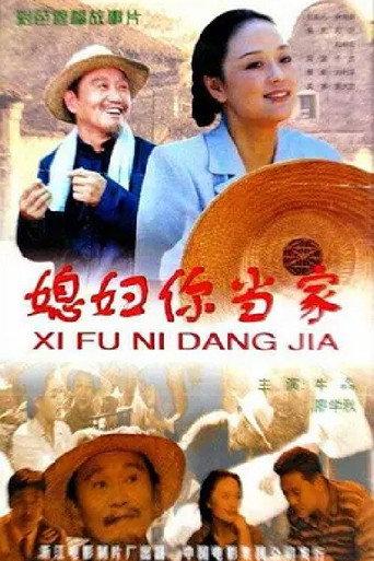 媳妇你当家 (2000) poster