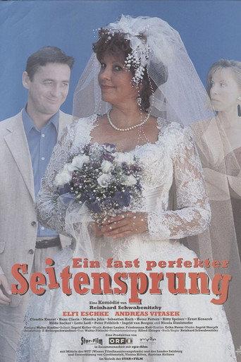 Ein fast perfekter Seitensprung (1996) poster