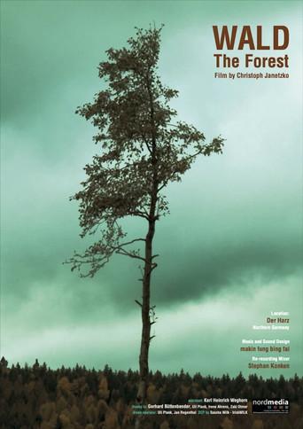 WALD - The Forest (2023) poster