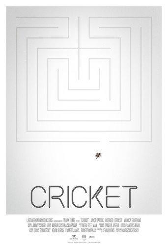 Cricket (2021) poster