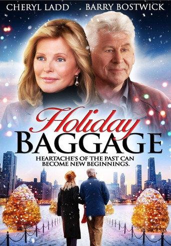 Holiday Baggage (2008) poster