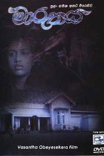 The Storm (1995) poster