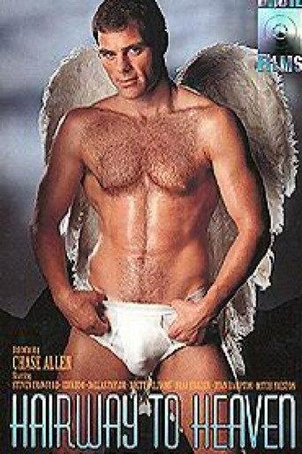 Hairway to Heaven (1995) poster