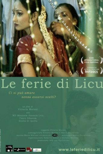 Licu's holidays (2007) poster