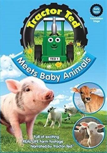 Tractor Ted Meets Baby Animals (2015) poster