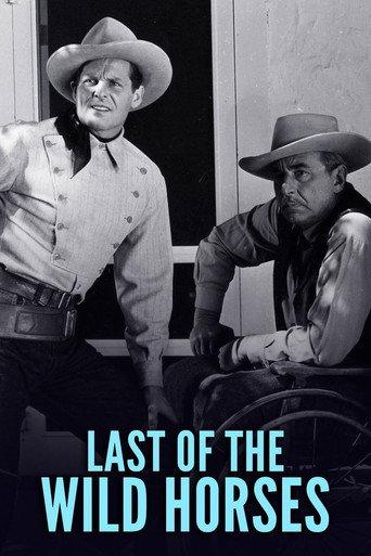 Last of the Wild Horses (1948) poster