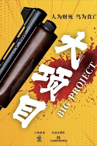 Big Project (2024) poster