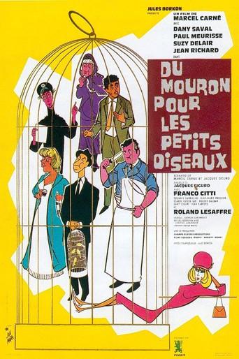 Chicken Feed for Little Birds (1963) poster