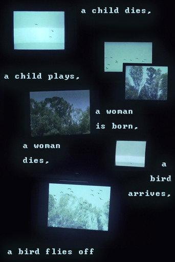 A child dies, a child plays, a woman is born, a woman dies, a bird arrives, a bird flies off (2018) poster