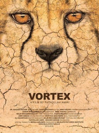 Vortex (2018) poster