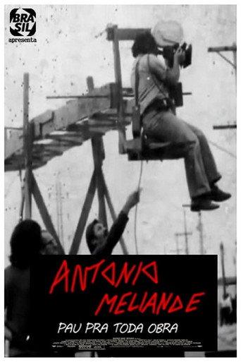 Antonio Meliande - Pau pra toda obra (2011) poster