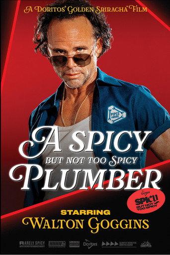 A Spicy but Not Too Spicy Plumber (2025) poster