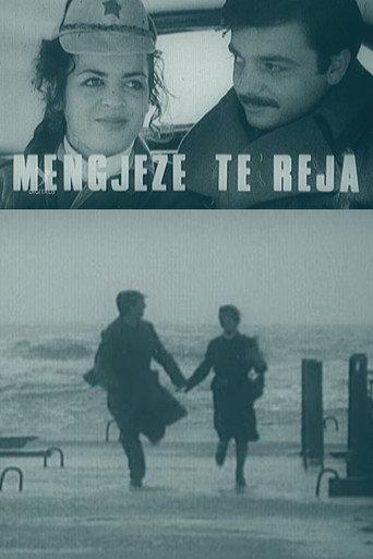 New Mornings (1980) poster