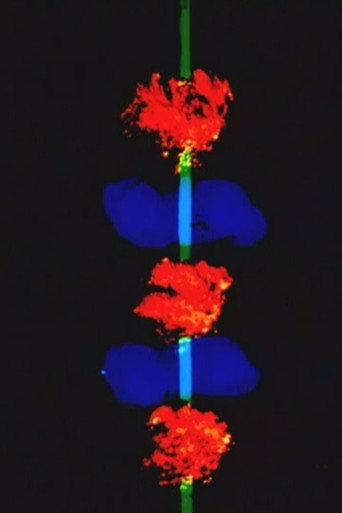 1:1 (2001) poster