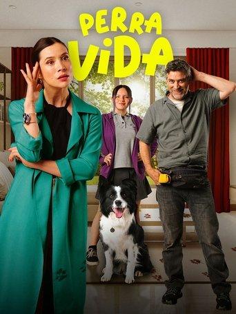 Dog Life (2024) poster