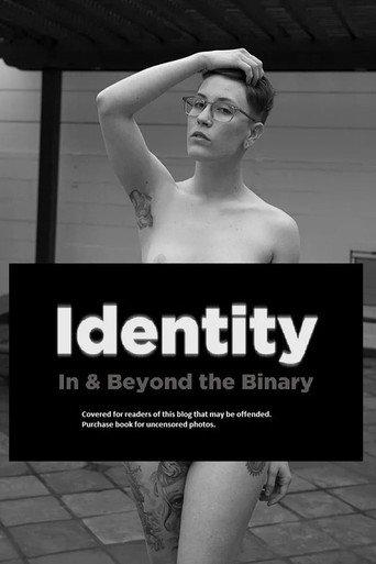 Identity: In and Beyond the Binary () poster