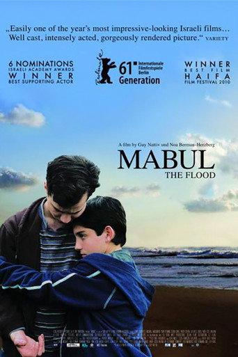 The Flood (2011) poster