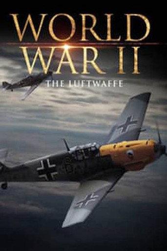 World War II: The Luftwaffe () poster