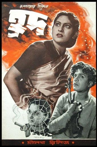 Hrad (1955) poster