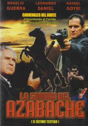 La sombra del azabache (2001) poster