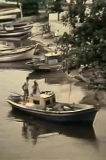 O Grito do Rio (1981) poster