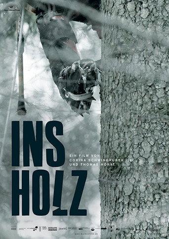 In the Woods (2017) poster