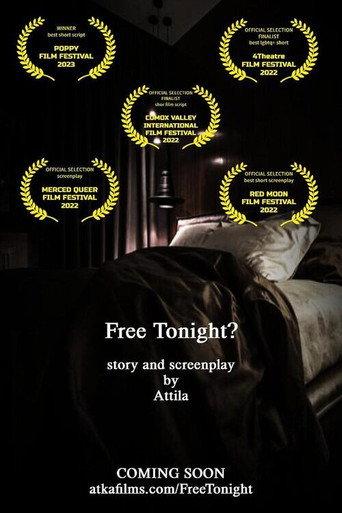 Free Tonight? () poster