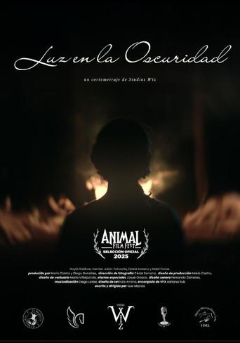 Luz en la oscuridad (2025) poster
