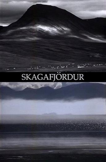 Skagafjördur (2004) poster