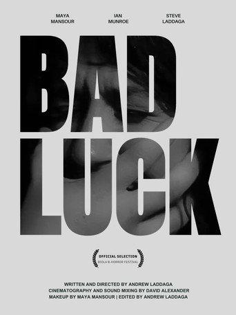 Bad Luck (2025) poster