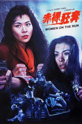 Women on the Run (1993) poster